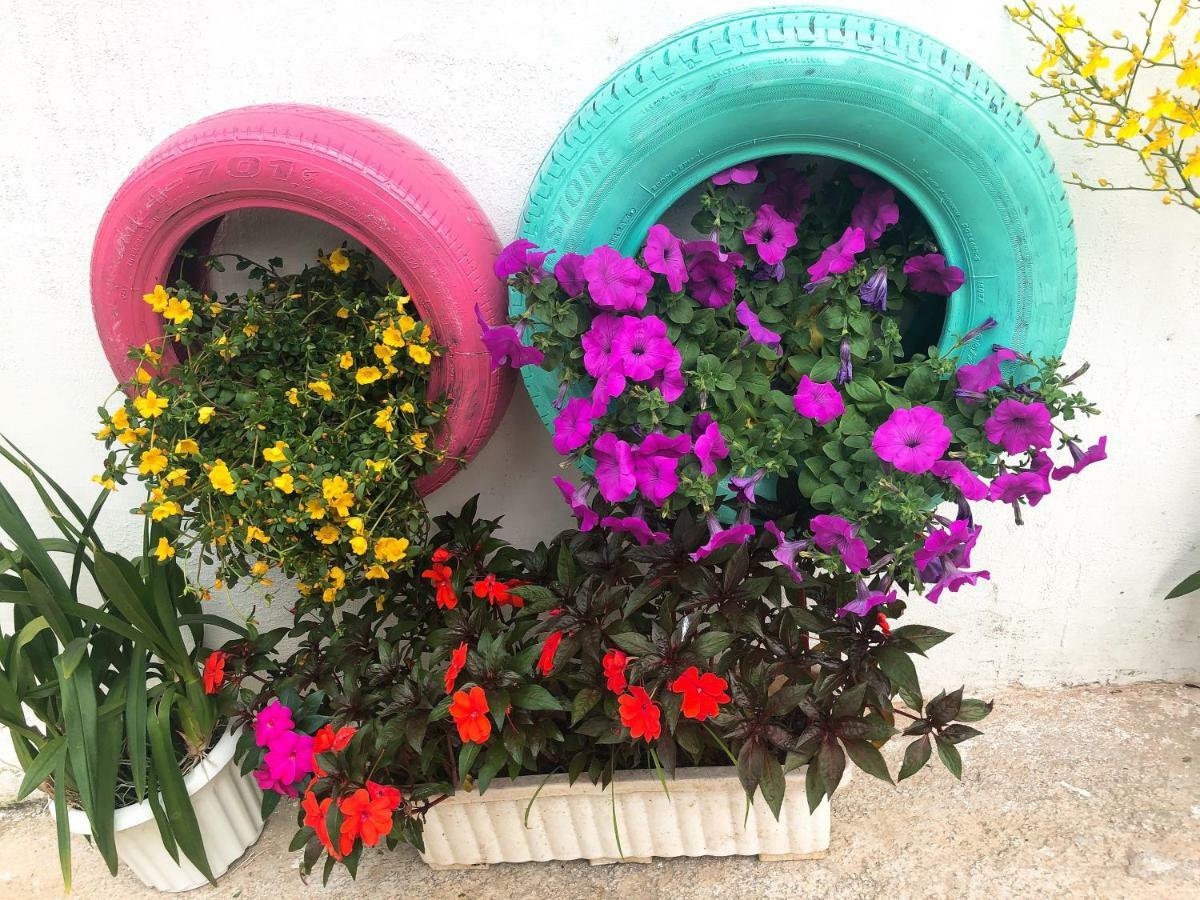 Thu Linh Guesthouse Dalat Luaran gambar
